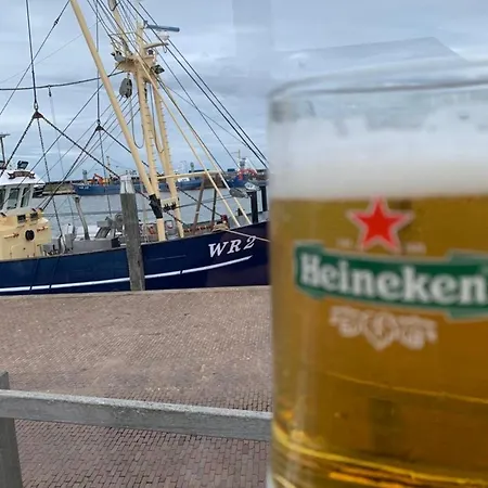 Nr 43 Mit Meerblick Traumlage 150 Meter Direkt Am Wattenmeer * Westerland